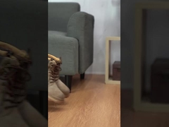 Αθλητικά παπούτσια, αντιατλαντικά και ανθεκτικά στην φθορά, ανδρικά